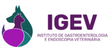 IGEV - Instituto de Gastroenterologia e Endoscopia Veterinária